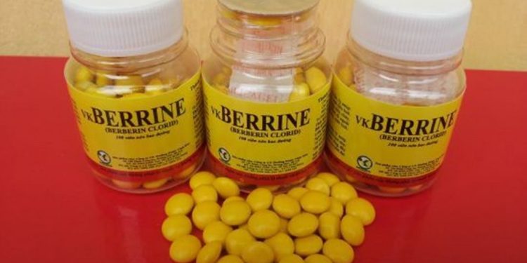 Tổng quan về Thuốc Tiêu Chảy Berberin: