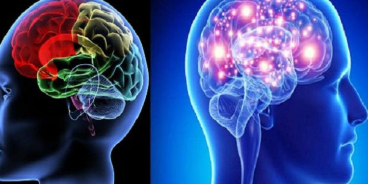 Thuốc bổ não là loại thuốc có nhiều tác dụng tốt cho sức khỏe