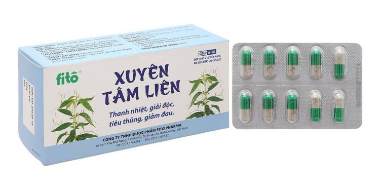 Các loại thuốc xuyên tâm liên được chế tác dạng viên uống
