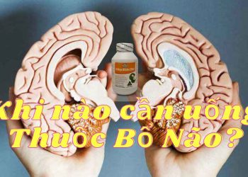 Khi nào cần uống thuốc bổ não?