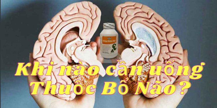 Khi nào cần uống thuốc bổ não?