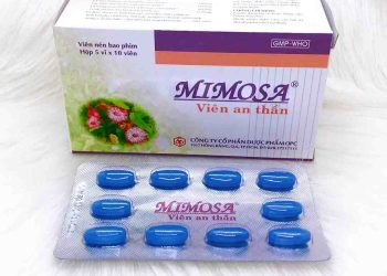 Tìm hiểu về thành phần của thuốc ngủ Mimosa