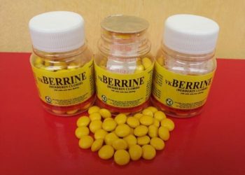 Tổng quan về Thuốc Tiêu Chảy Berberin: